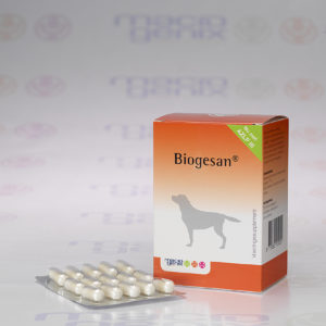Macrogenix Biogesan voor sterke botten voor honden